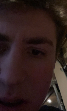 Harmless Dylan